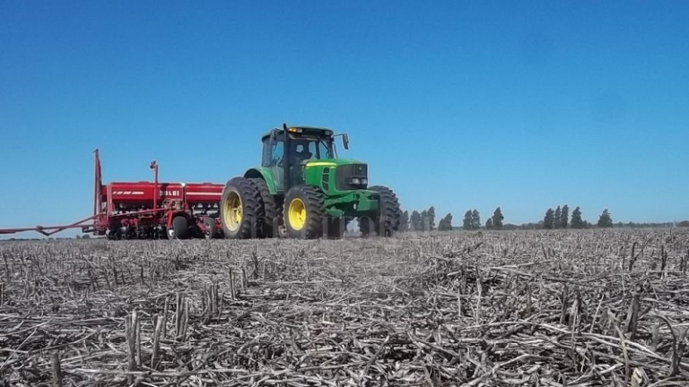Comenzó la siembra de maíz y girasol en Entre Ríos para la campaña 2025/2026