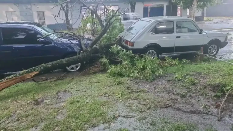 Violento temporal en Federal: árboles cayeron sobre autos y hay varios sectores sin luz