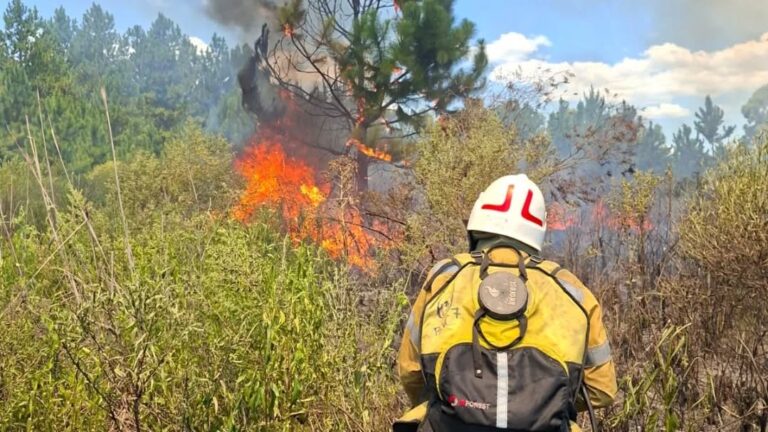 Incendios en serie en Concordia: Bomberos combatieron múltiples focos