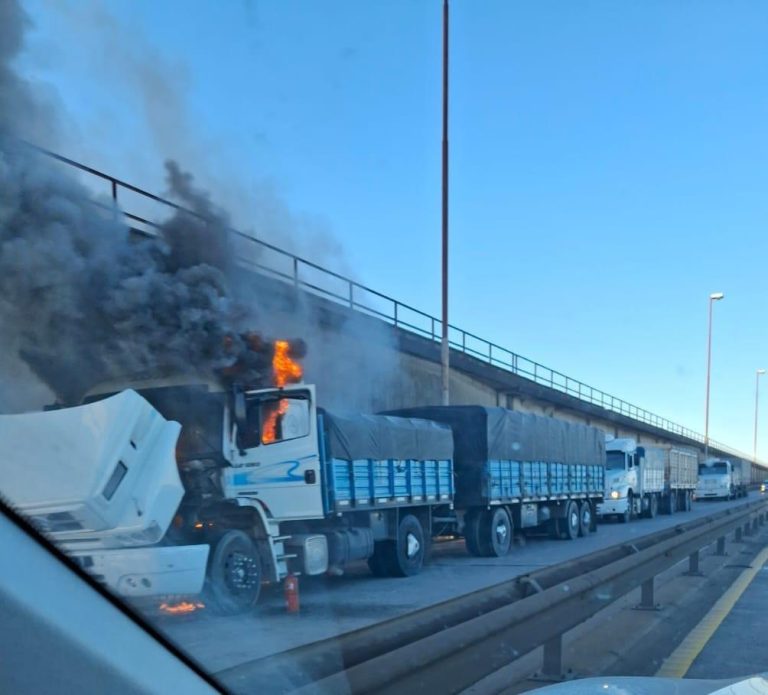 Zárate-Brazo Largo: Un camión se incendió y el tránsito estuvo paralizado por horas