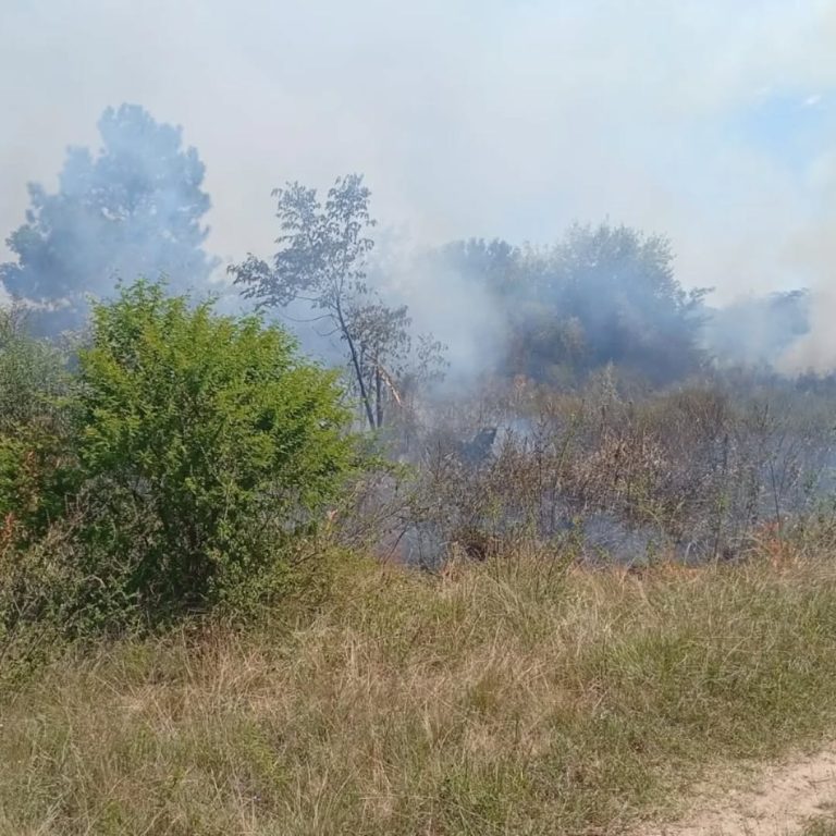 Incendio forestal en el “Arca de Enrimir”