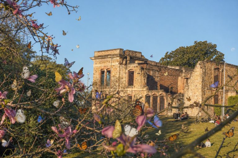 ¿Sin planes para el feriado? La impactante lista de eventos en Concordia que no te podés perder este fin de semana largo