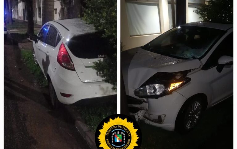 Terminó arriba de la vereda y se incrustó contra una palmera con su auto
