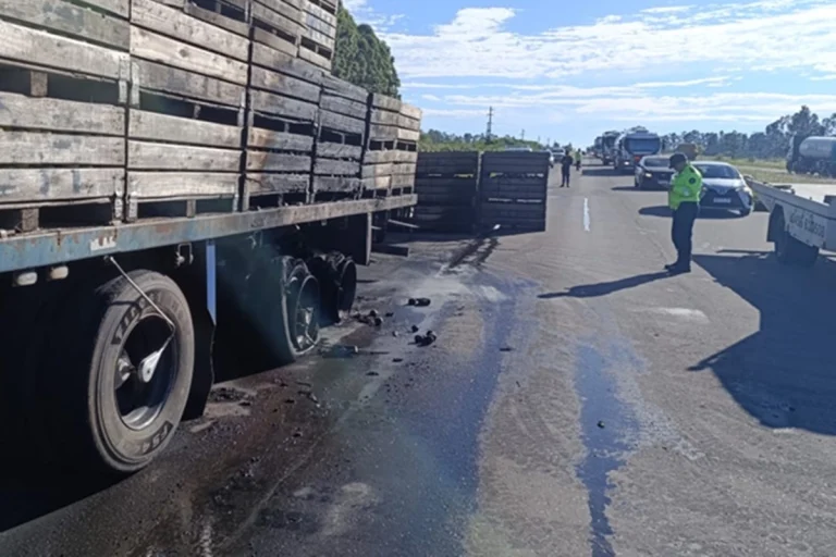 Ruta 14: Un camión cargado de bines casi termina en cenizas tras un incendio en plena autovía
