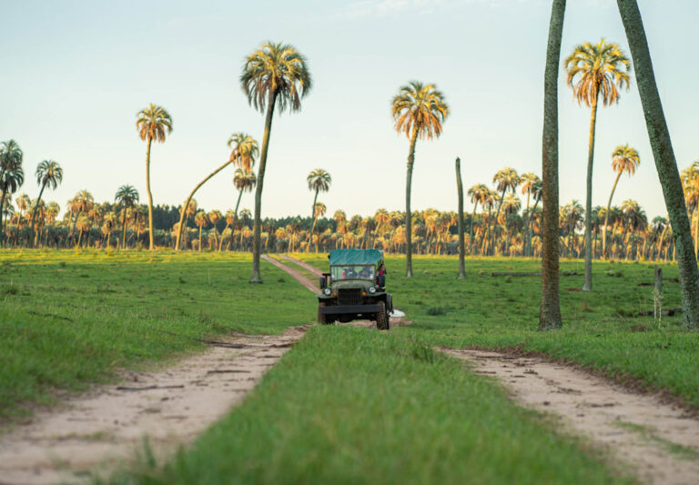 Fuerte aumento para entrar a los Parques Nacionales y así quedaron los nuevos precios en Entre Ríos