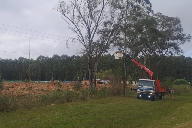 Un árbol cayó sobre una línea de media tensión y dejó sin luz a dos localidades
