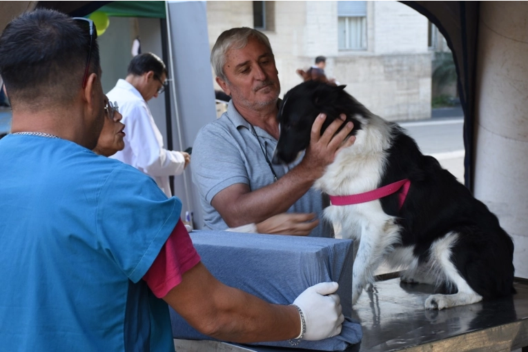 Nuevo Programa de Esterilizaciones Gratuitas Llega al Barrio Puerto de Concordia