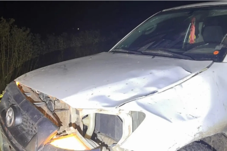 Camioneta colisiona con vacuno en San Salvador: Sin heridos