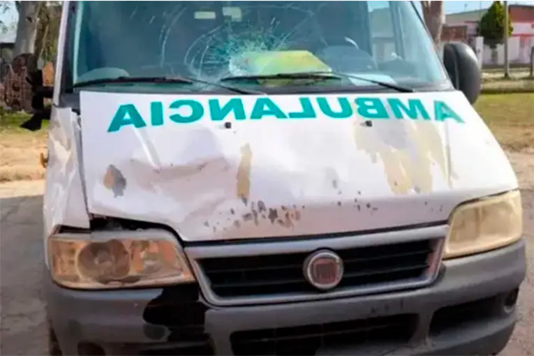 Accidente en Ibicuy: Ambulancia choca contra caballo suelto y el intendente exige responsabilidades