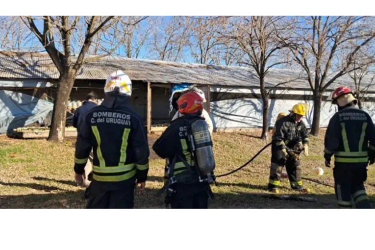 Incendio Controlado en Granja Avícola sobre la Autovía 14 sin Lesionados