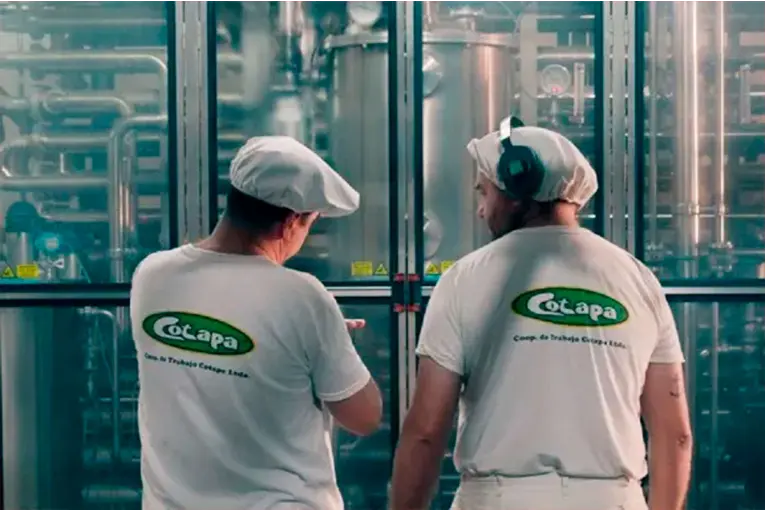 Cotapa celebra su 62 aniversario en manos de sus trabajadores: “Un logro colectivo”