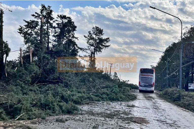El Gobierno Provincial Activa Operativo de Emergencia Tras Tormenta Devastadora