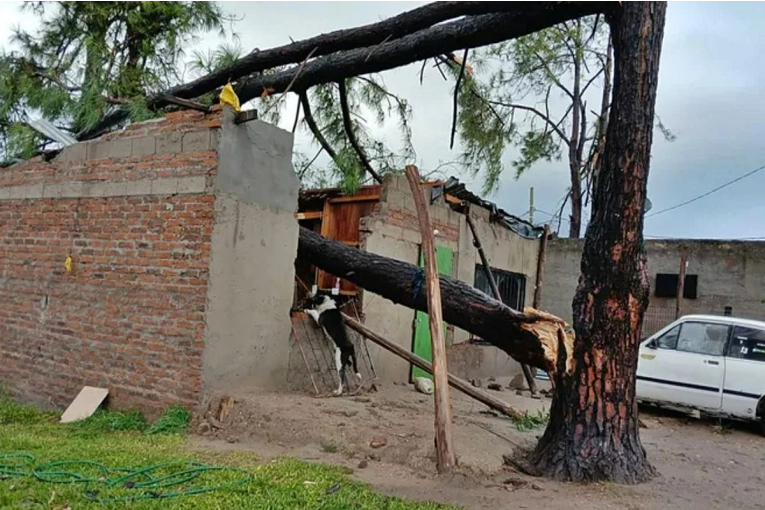 Tragedia en Salto: Una mujer pierde la vida por el violento temporal
