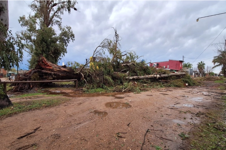Concordia enfrenta las secuelas del temporal: más de 50 familias en busca de asistencia