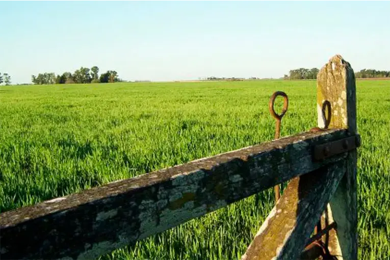 Entre Ríos: Extranjerización de tierras alcanza las 247.000 hectáreas