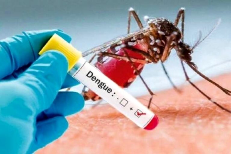 Aumentan los casos de dengue y el Ministerio de Salud intensifica la prevención