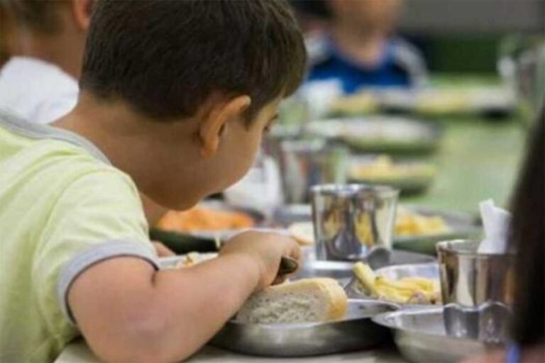 Transparencia en la Alimentación Escolar: Solicitan Detalles sobre Contratación de Teknofood para 996 Comedores