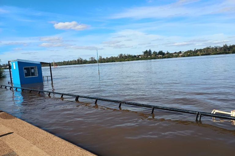 Alertan sobre creciente ola de crecida en el río Uruguay que afecta a Concordia