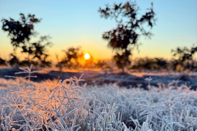 Alerta por frío extremo: Entre Ríos enfrenta temperaturas bajo cero