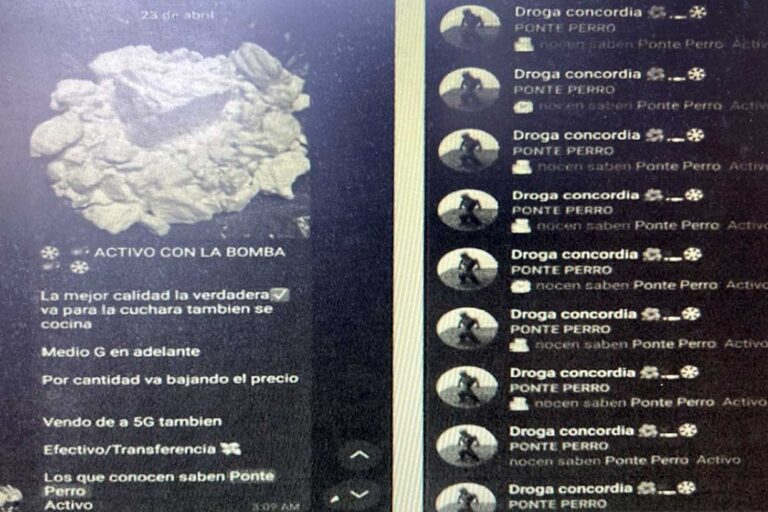 Desmantelan red de narcotráfico que operaba en Telegram: 8 procesados, entre ellos un deportista