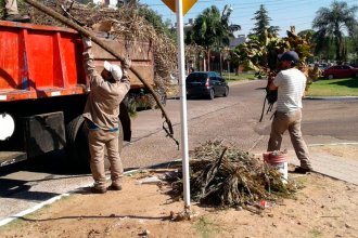 Concejales de Concordia Aprueban Reducción de Tarifas para el Retiro de Residuos Voluminosos