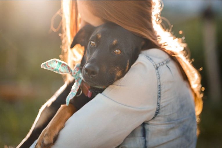 Una Innovadora Aplicación para Encontrar Mascotas Perdidas Llega a Más Localidades Entrerrianas