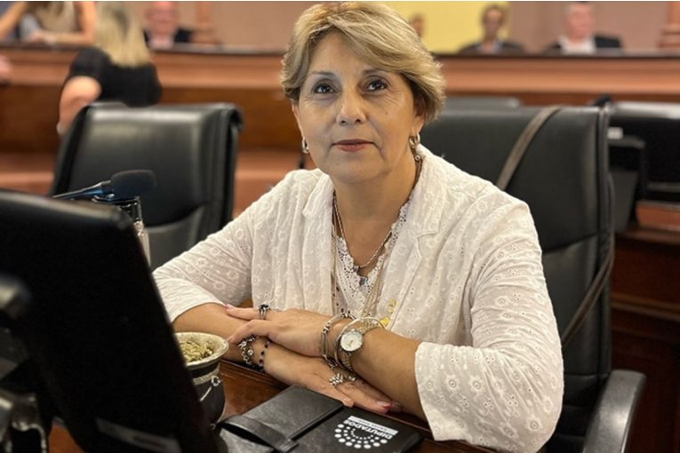 Liliana Salinas Defiende la Reforma Previsional: “Un Tema Incómodo que Era Necesario Abordar”