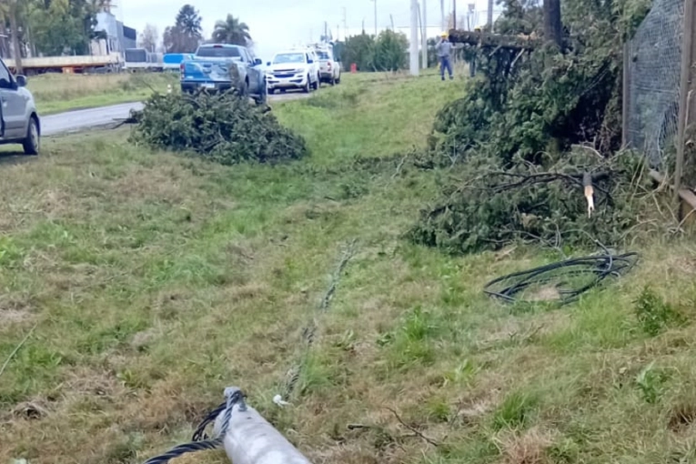 Concordia Sufre el Impacto de Fuertes Lluvias: Gobierno Provincial Actúa Rápidamente