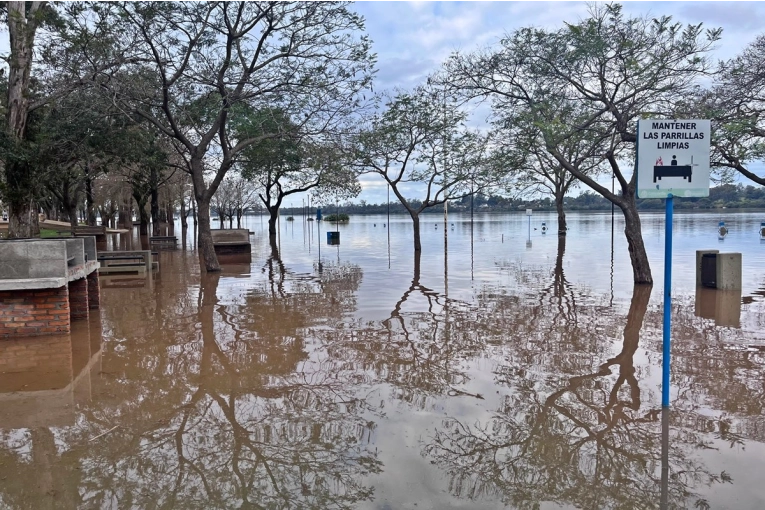 Se anticipa el descenso del río Uruguay en Concordia