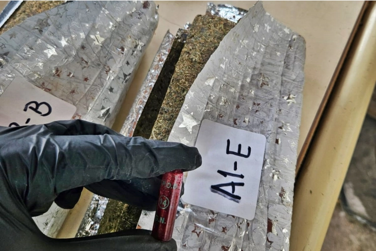 Desarticulan red de narcotráfico: 230 kilos de marihuana incautados en operativos coordinados