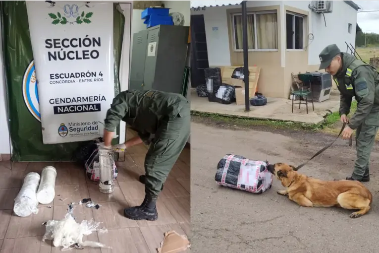 Desmantelan red de tráfico de marihuana en control sobre Ruta 14