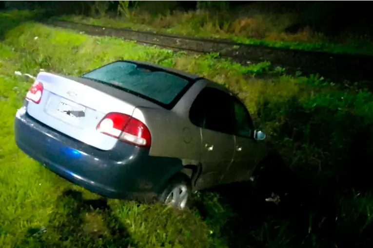 Esquivando un Perro, Una Conductora Termina en una Zanja