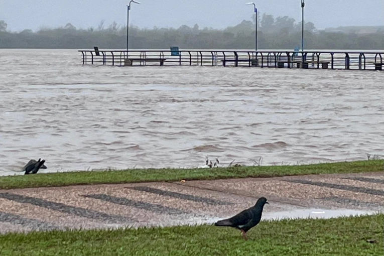 Actualización sobre los niveles del río Uruguay: Previsiones y datos recientes