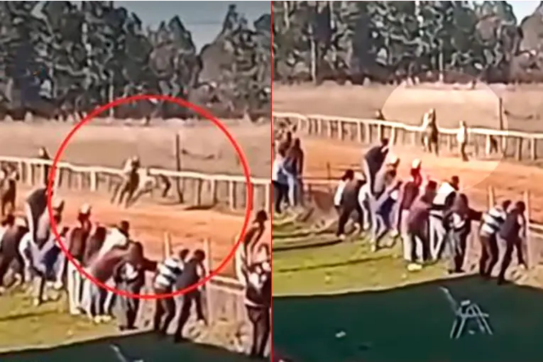 Celebración trágica: Hombre atropellado por un caballo tras una victoria