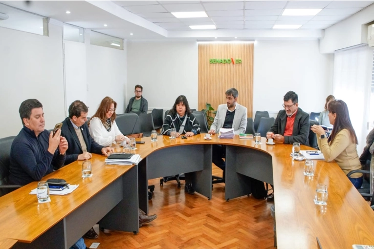 Se Avanza en la Designación de Nuevos Miembros del Consejo General de Educación
