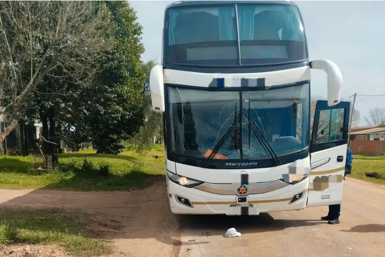 Trágico accidente: peatón fallece tras ser atropellado por colectivo