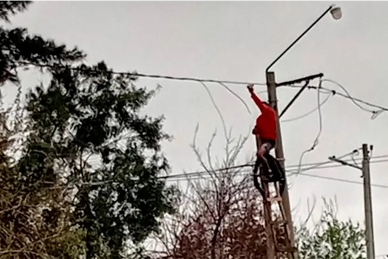 Corte de Energía en Refugio de Animales Tras Caída de Poste por Intento de Conexión Clandestina