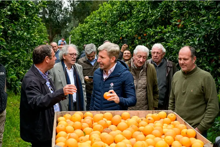 Frigerio impulsa la expansión del sector citrícola hacia Estados Unidos