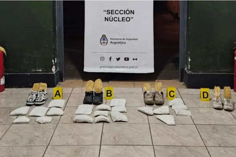 Desmantelan red de narcotráfico en colectivo: casi 11 kilos de cocaína incautados