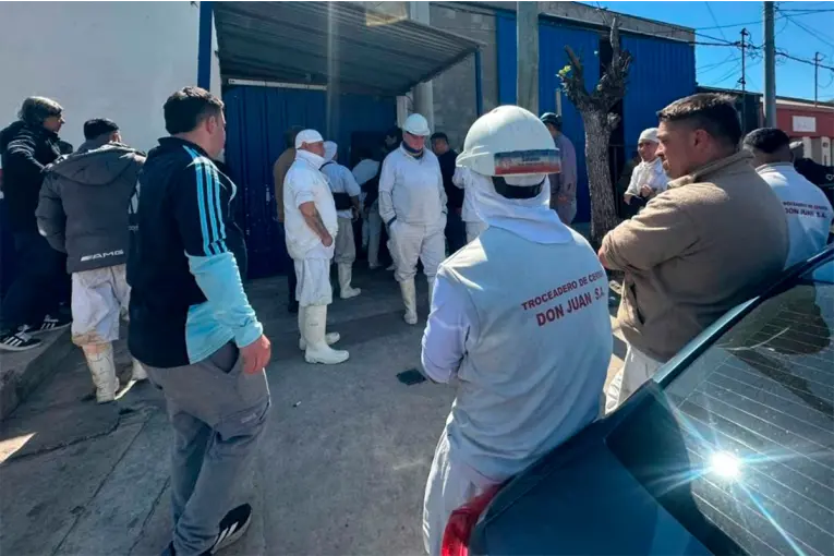 Crisis Laboral: Más de 50 Empleos en Peligro por la Situación del Frigorífico Don Juan