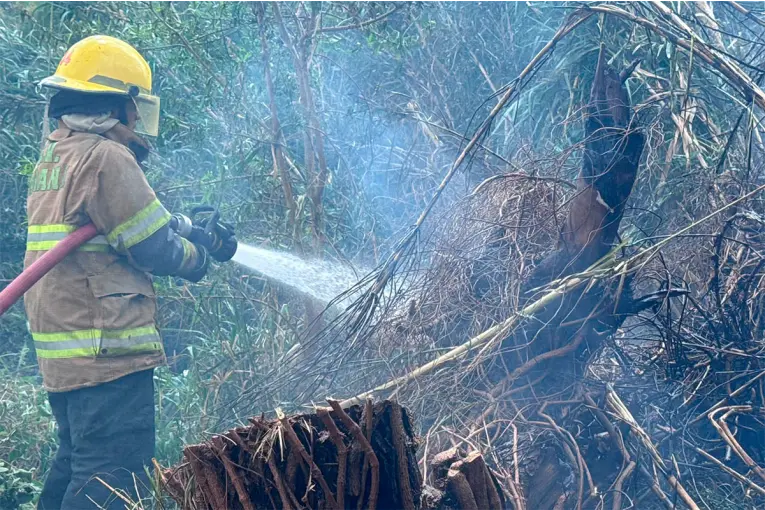 Incendio en un Cañaveral Pone en Riesgo Centro de Diagnóstico