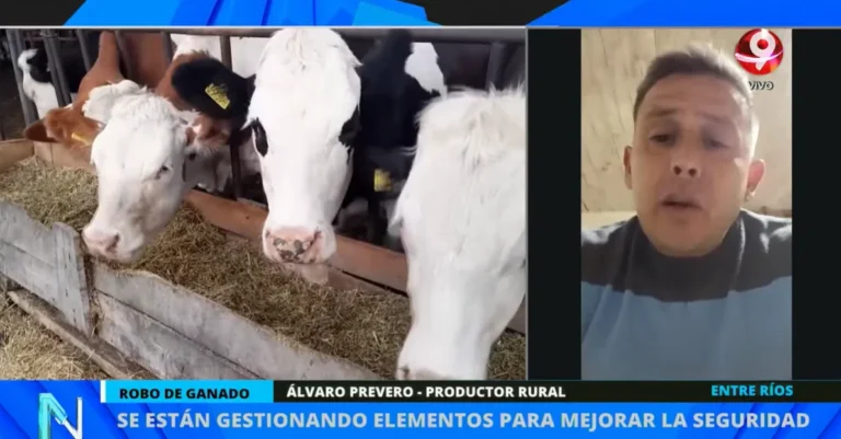 Crisis por Abigeato en Bovril: Productores Alarmados por la Faena de Animales