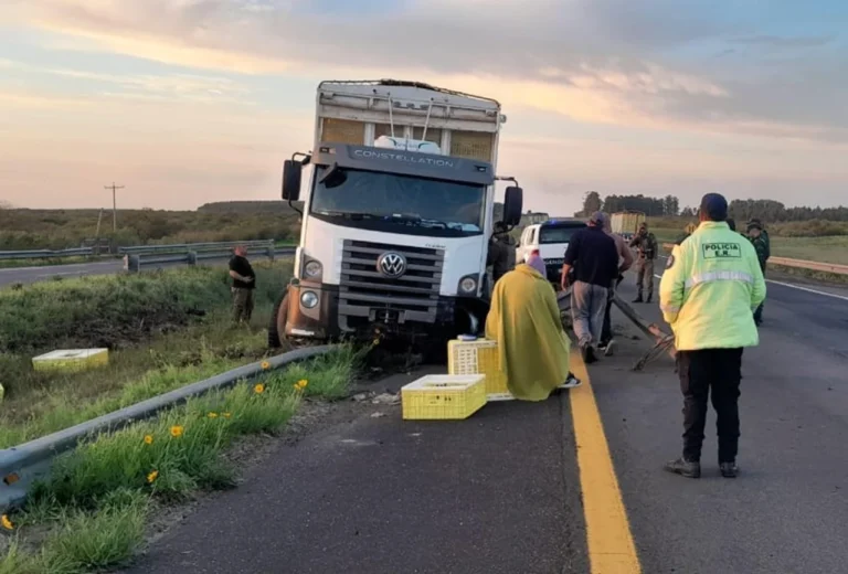 Accidente en la Autovía 14: Camionero se Lesiona Tras Esquivar un Ciervo Accidente en la Autovía 14: Camionero se Lesiona Tras Esquivar un Ciervo
