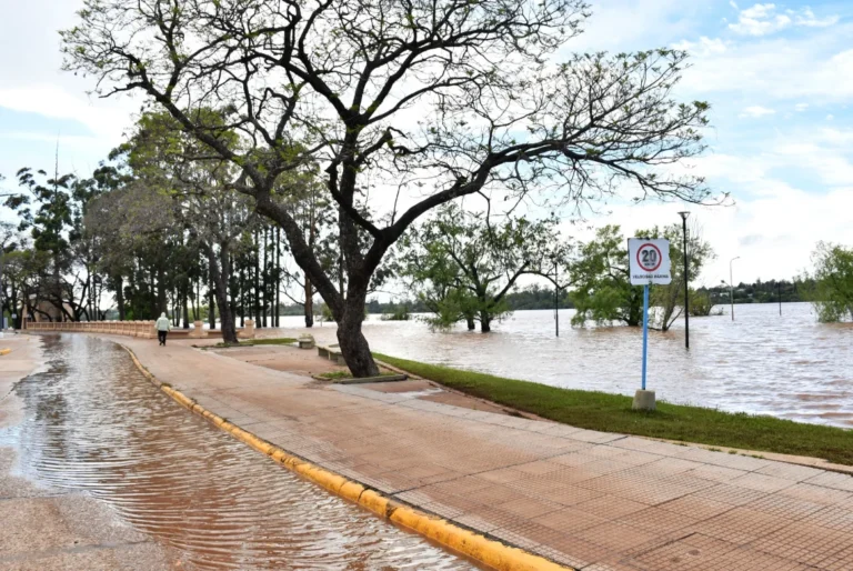 Se Restablece la Normalidad: Familias de Concordia Regresan a sus Hogares Se Restablece la Normalidad: Familias de Concordia Regresan a sus Hogares