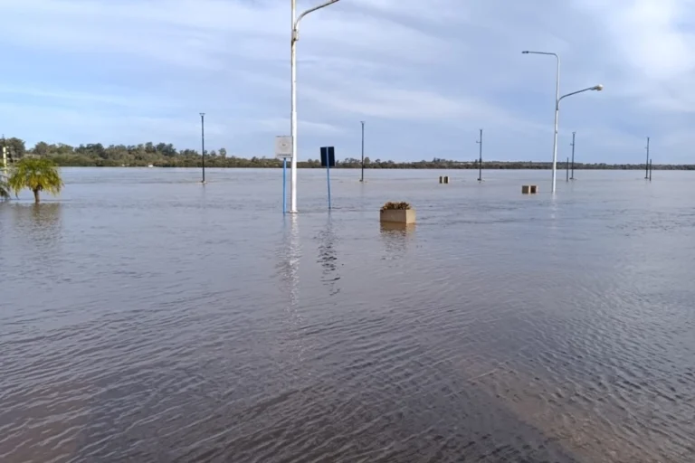 Alerta por Creciente del Río Uruguay: Nuevas Cotas en Concordia