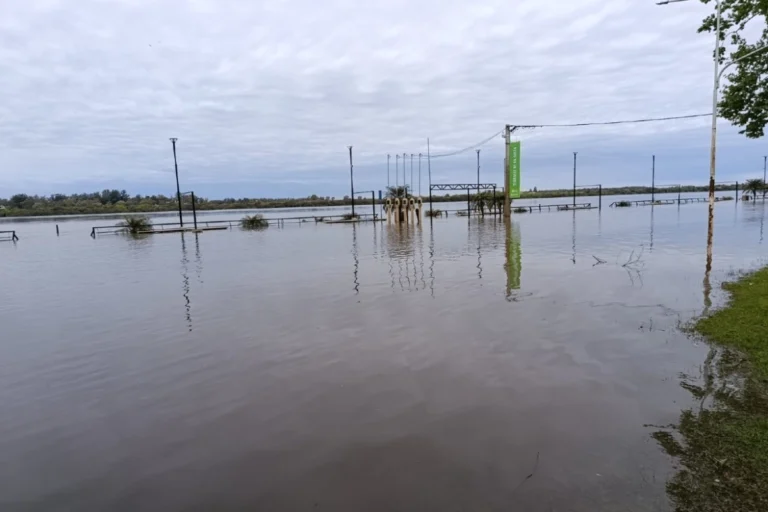 Pronóstico del río Uruguay: ¿Qué esperar en las próximas horas?