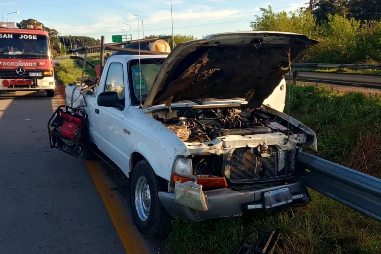 Grave accidente en la Autovía Artigas: un hombre se lesiona al esquivar un ciervo Grave accidente en la Autovía Artigas: un hombre se lesiona al esquivar un ciervo