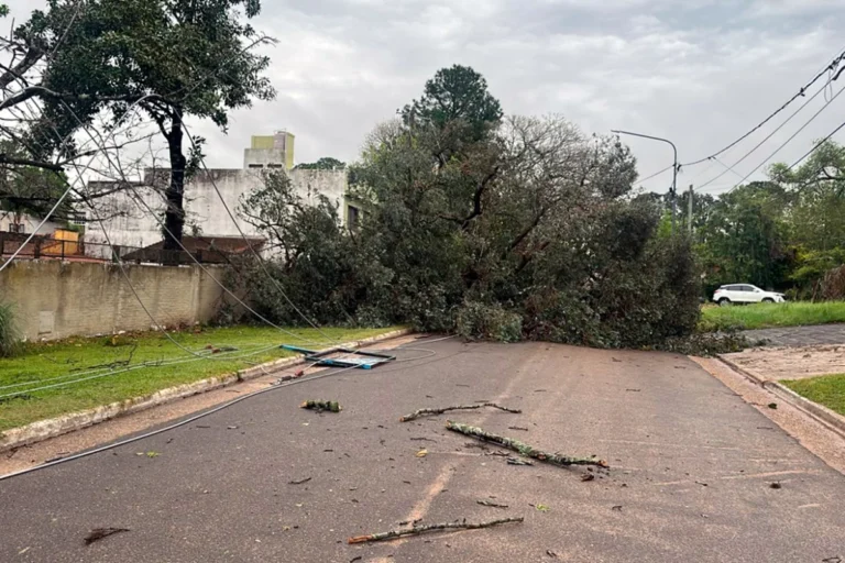 Fuerte temporal en Concordia: ráfagas de 130 km/h causan estragos en el servicio eléctrico Fuerte temporal en Concordia: ráfagas de 130 km/h causan estragos en el servicio eléctrico