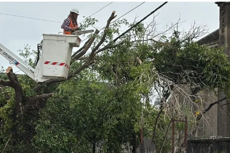 Cooperativa Eléctrica de Concordia Supera Desafíos Tras Tormenta Cooperativa Eléctrica de Concordia Supera Desafíos Tras Tormenta