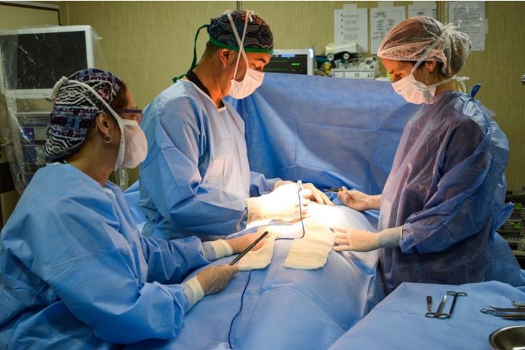 Concordia avanza en donación de órganos: tercer operativo del año en el Hospital Masvernat Concordia avanza en donación de órganos: tercer operativo del año en el Hospital Masvernat